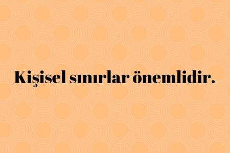 sınırlar