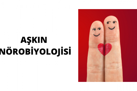 AŞKIN BİYOLOJİSİ